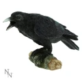 Raven's Call - kruk figurka dekoracyjna
