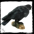 Raven's Call - kruk figurka dekoracyjna