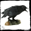 Raven's Call - kruk figurka dekoracyjna