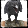 Raven's Call - kruk figurka dekoracyjna