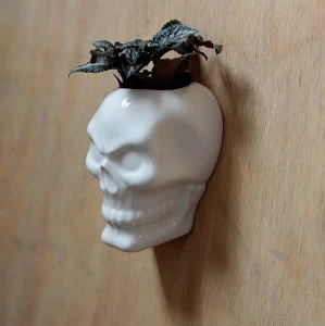 Czaszka - ceramiczny pojemnik na ścianę