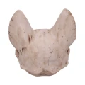 Sekret Bastet - figurka dekoracyjna czaszka kota