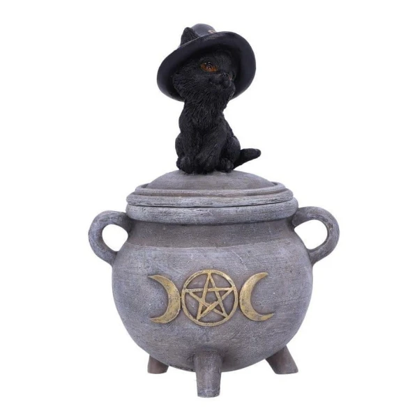 Kot na Magicznym Kociołku Czarownicy "Kitty's Brew" - szkatułka