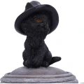 Kot na Magicznym Kociołku Czarownicy "Kitty's Brew" - szkatułka