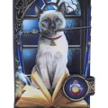 Kot z Magiczną Różdżką "Hocus Pocus" Lisa Parker - portfel z kotem