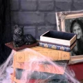 Kot i Książki "Salems Spell" - szkatułka z kotem