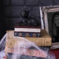 Kot i Książki "Salems Spell" - szkatułka z kotem